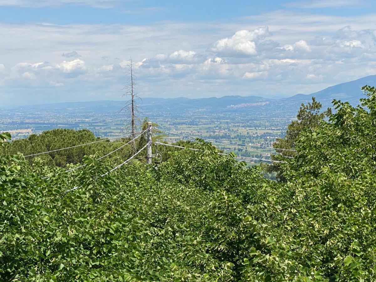 App. Con Terrazza Panoramica In Centro-Montefalco Εξωτερικό φωτογραφία